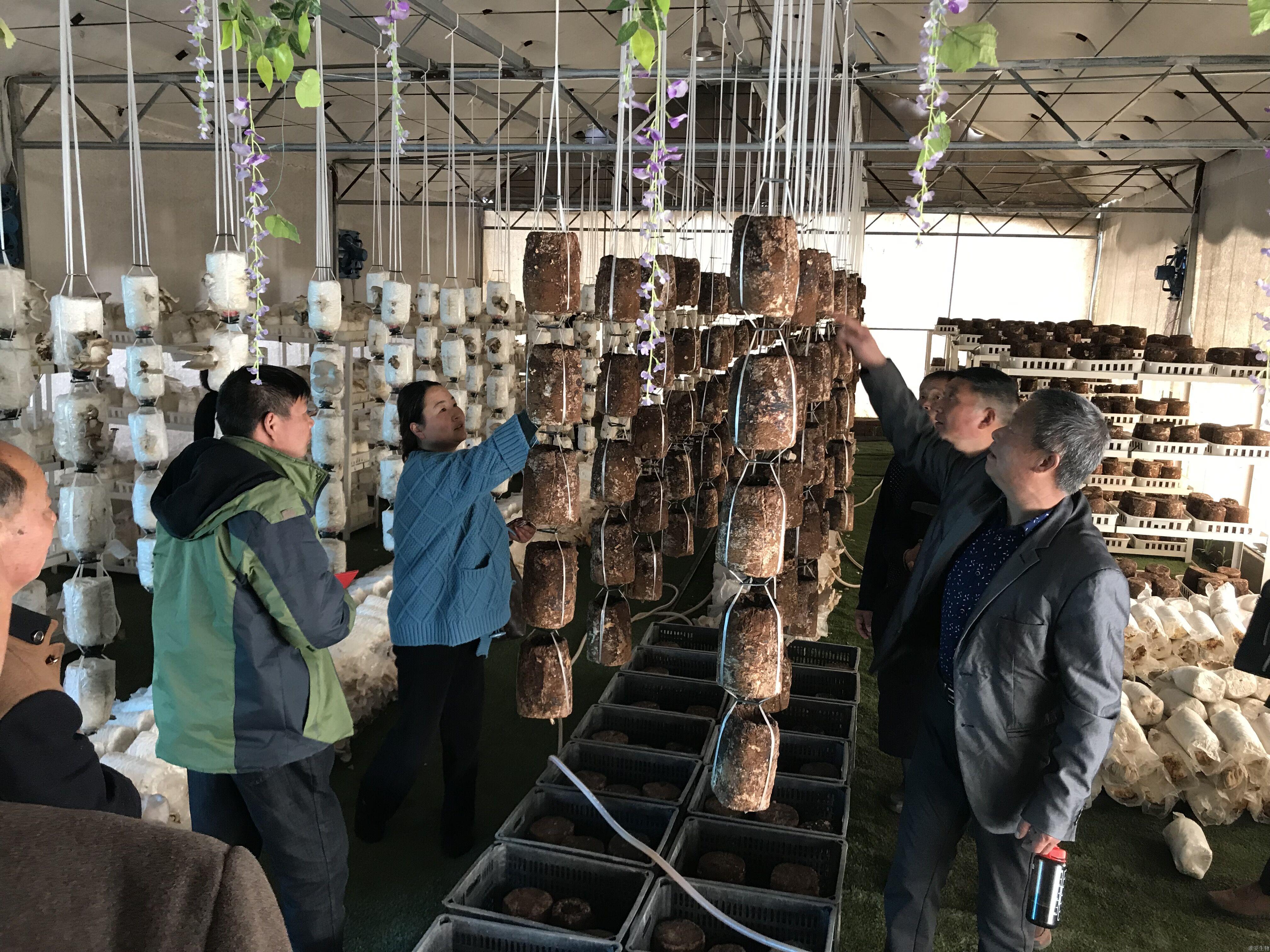 QQ图片20190320085510.jpg