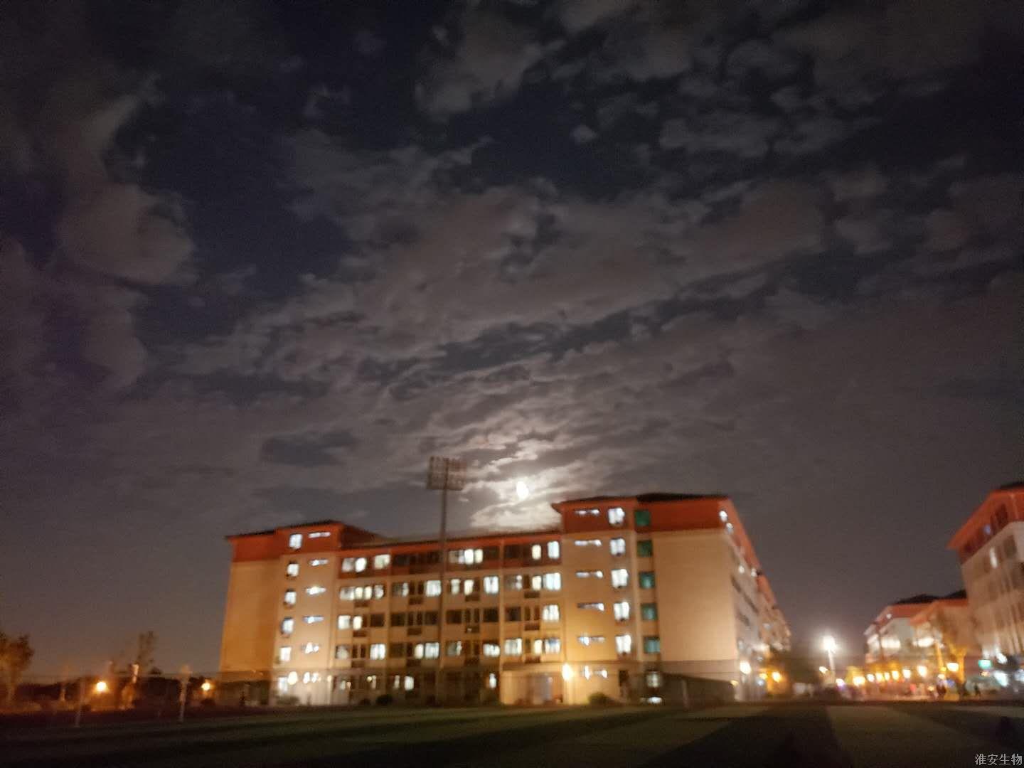 4月夜晚归人.JPG