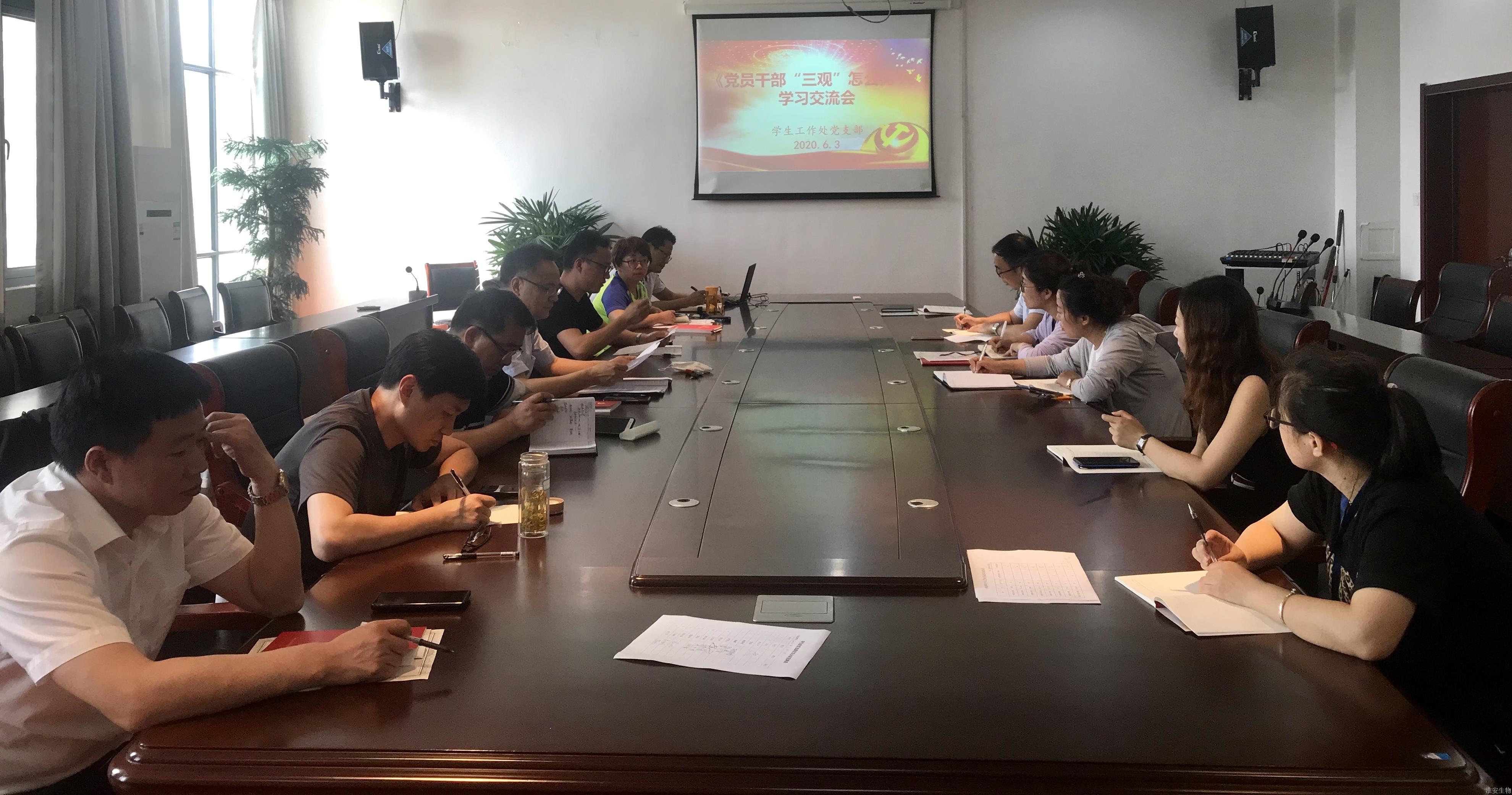 6-3党支部会议.JPG