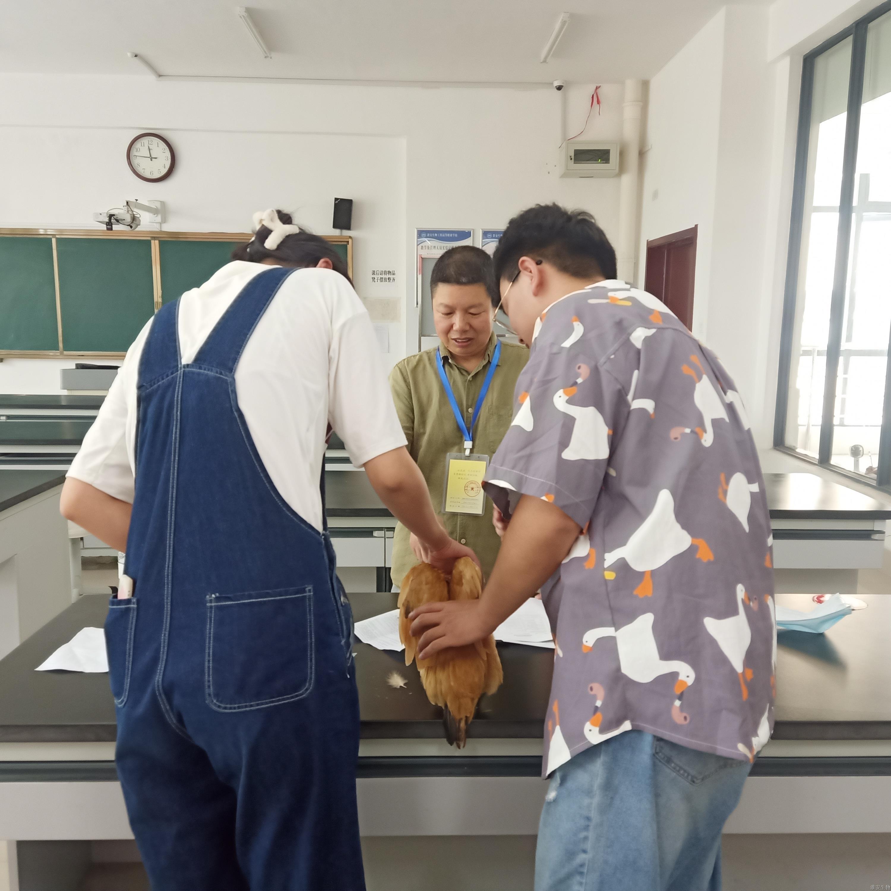 IMG20210628144043.jpg